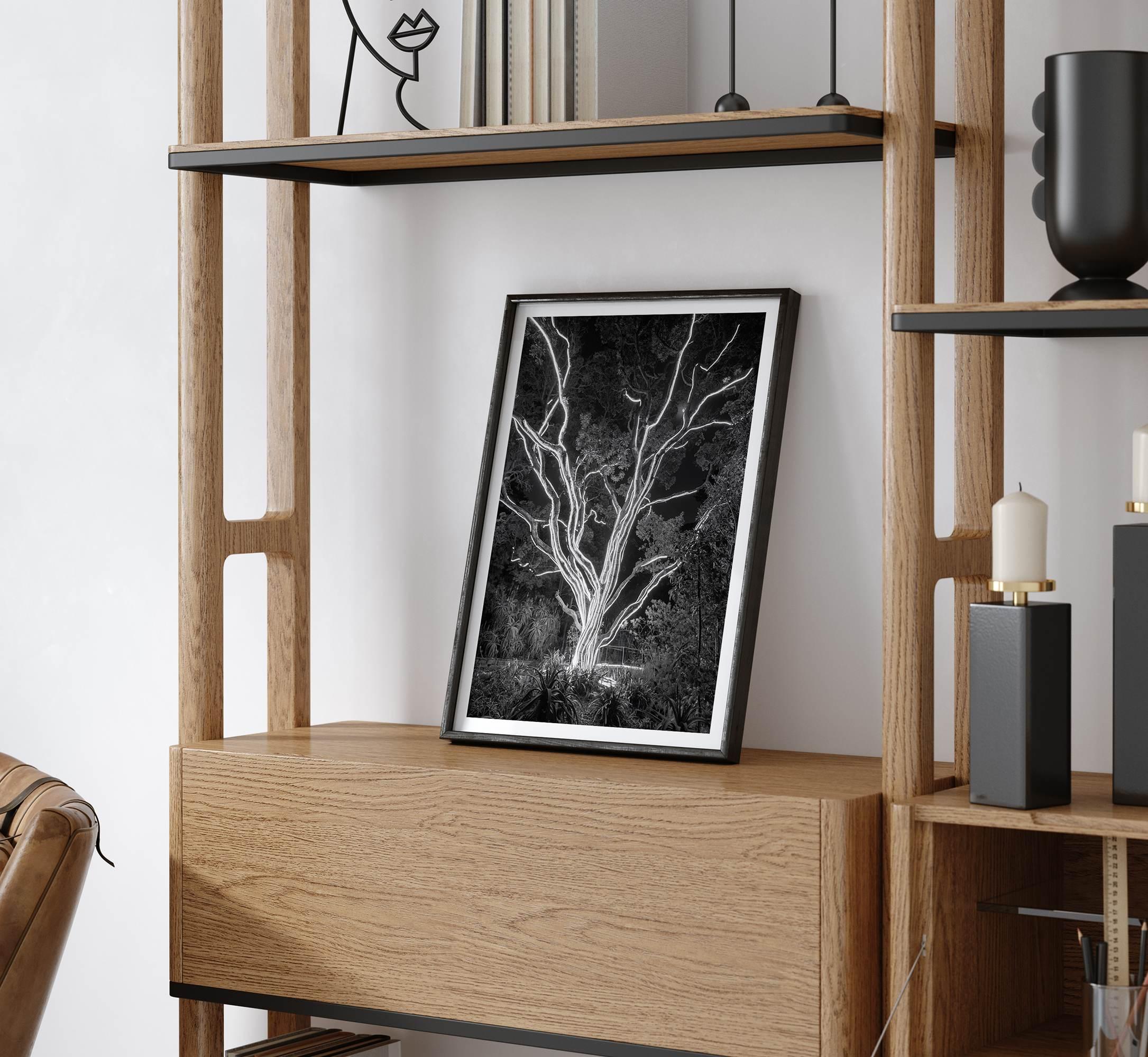 Electrified Forest