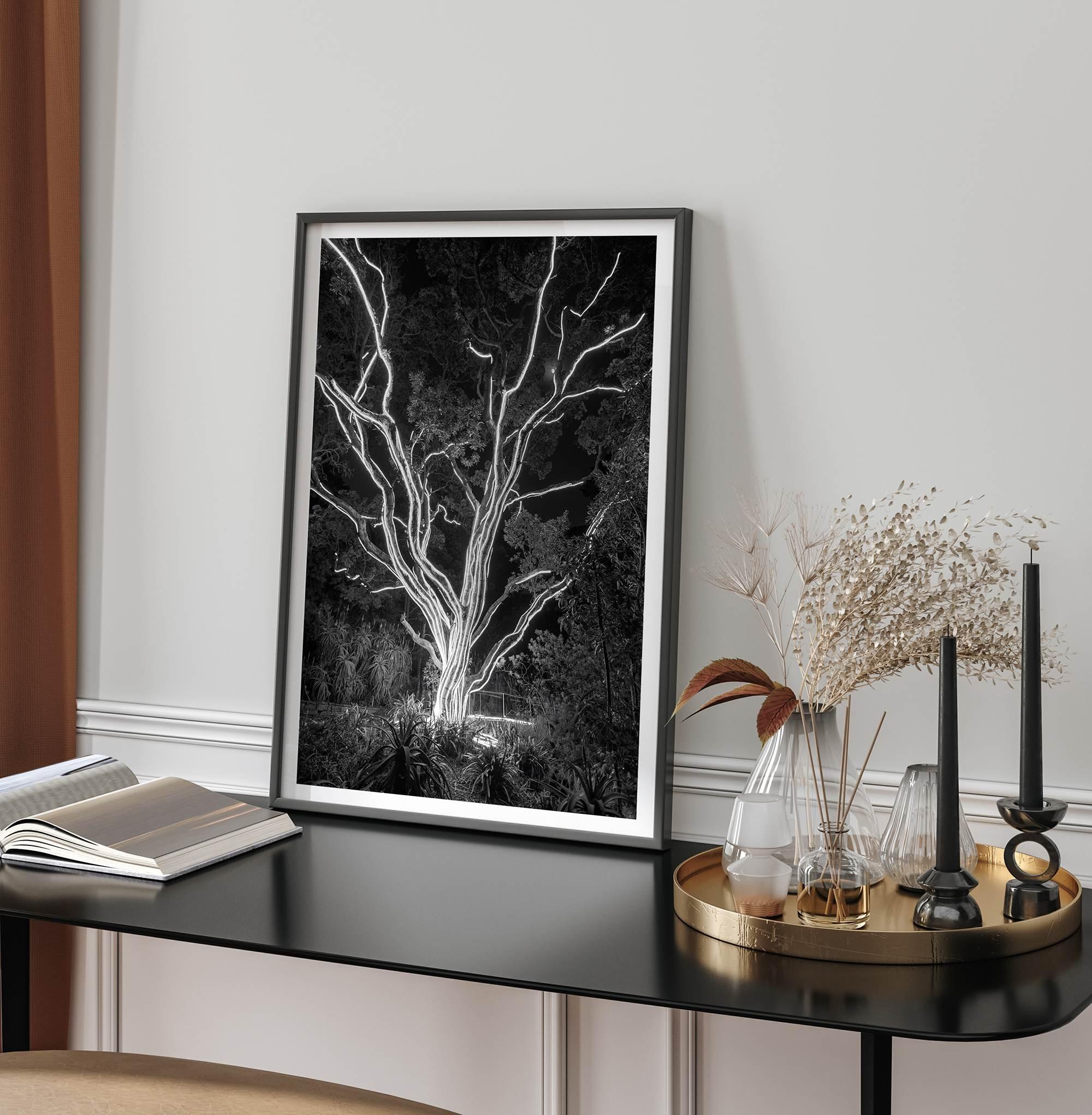 Electrified Forest