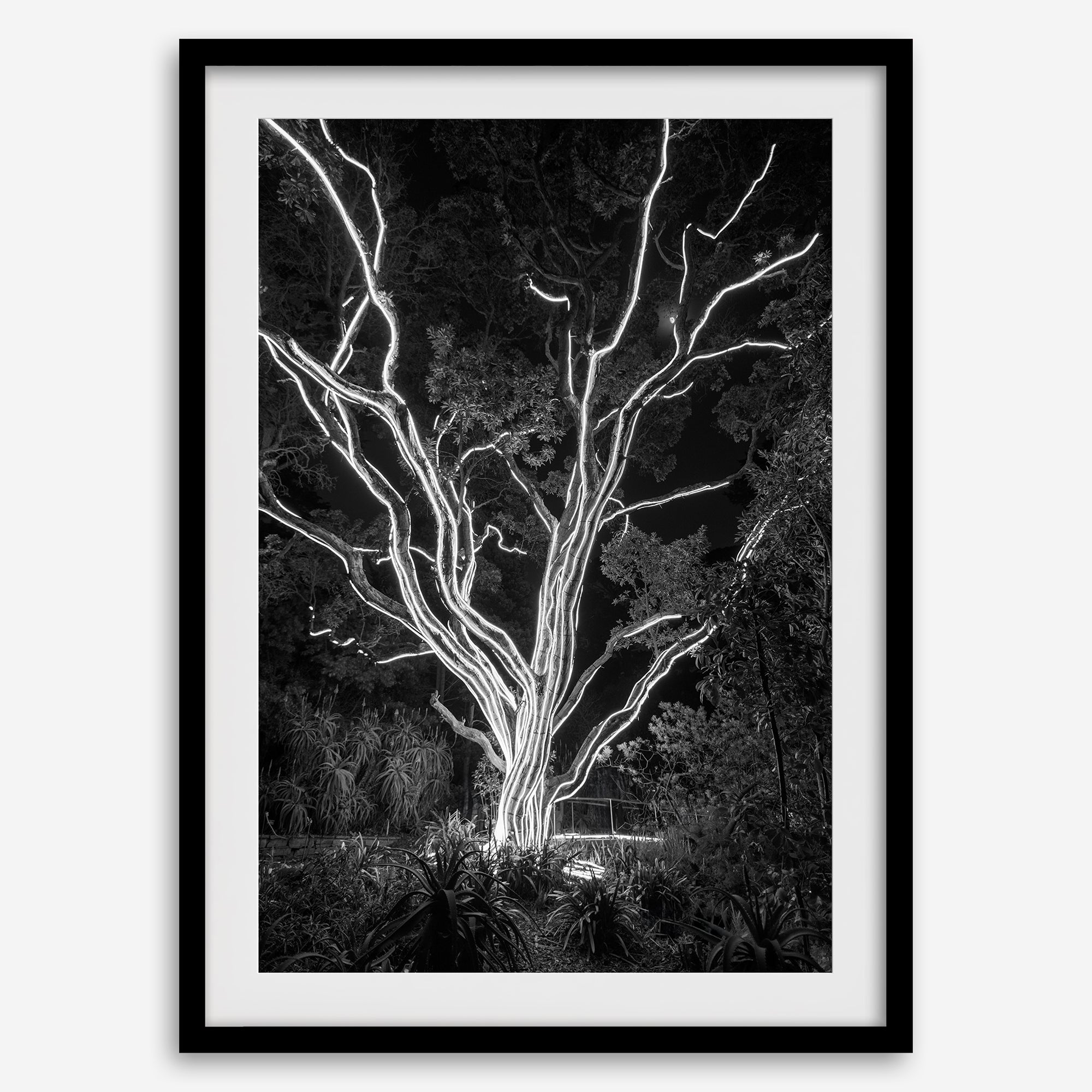 Electrified Forest