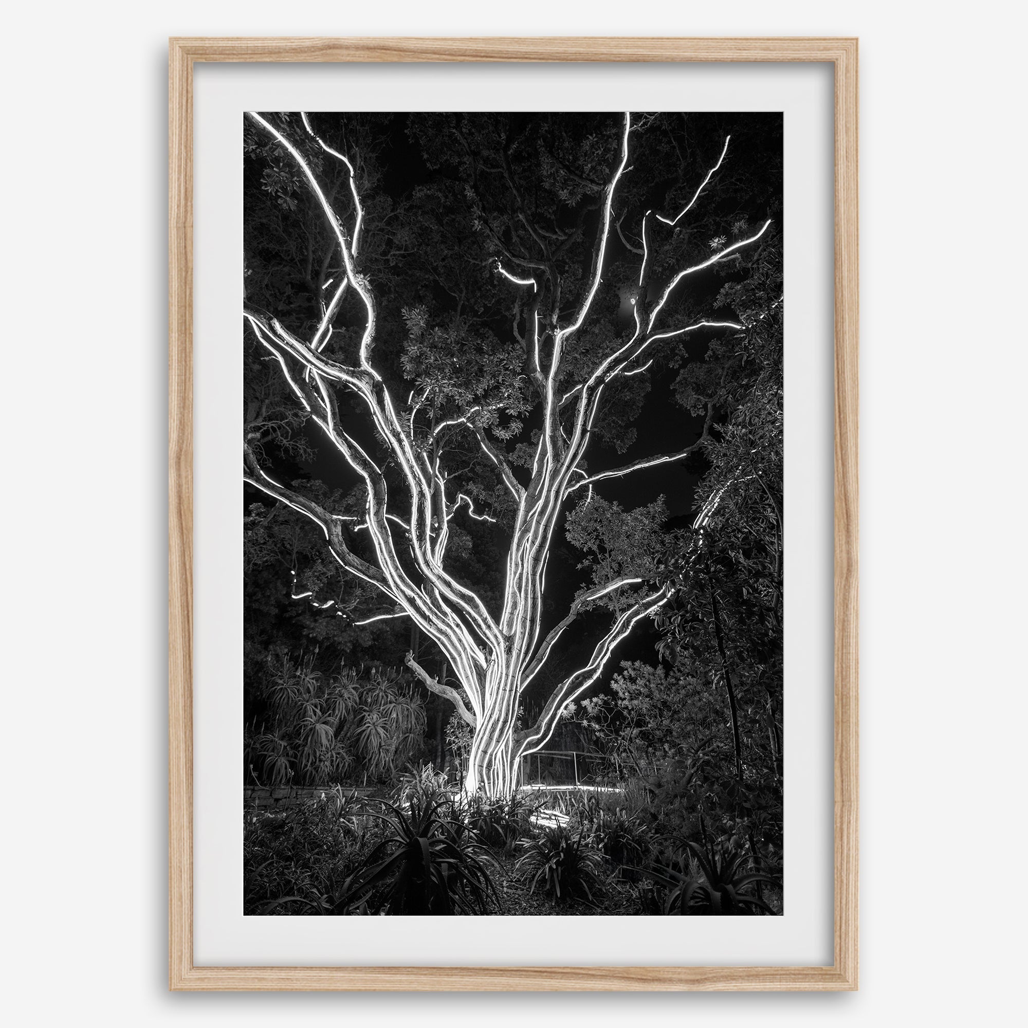 Electrified Forest