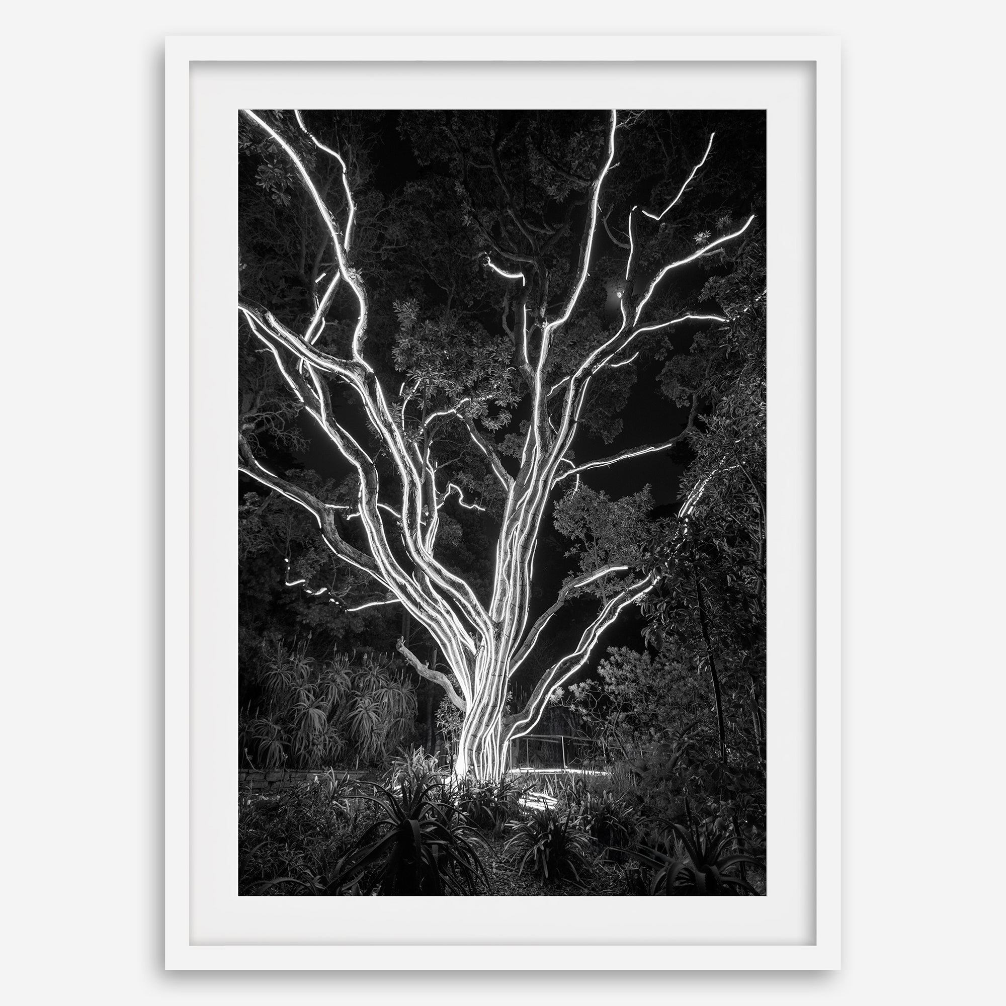 Electrified Forest