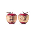 Katherine's Collection Toxic Terry and Noxious Nelson Apples (Set of 2)