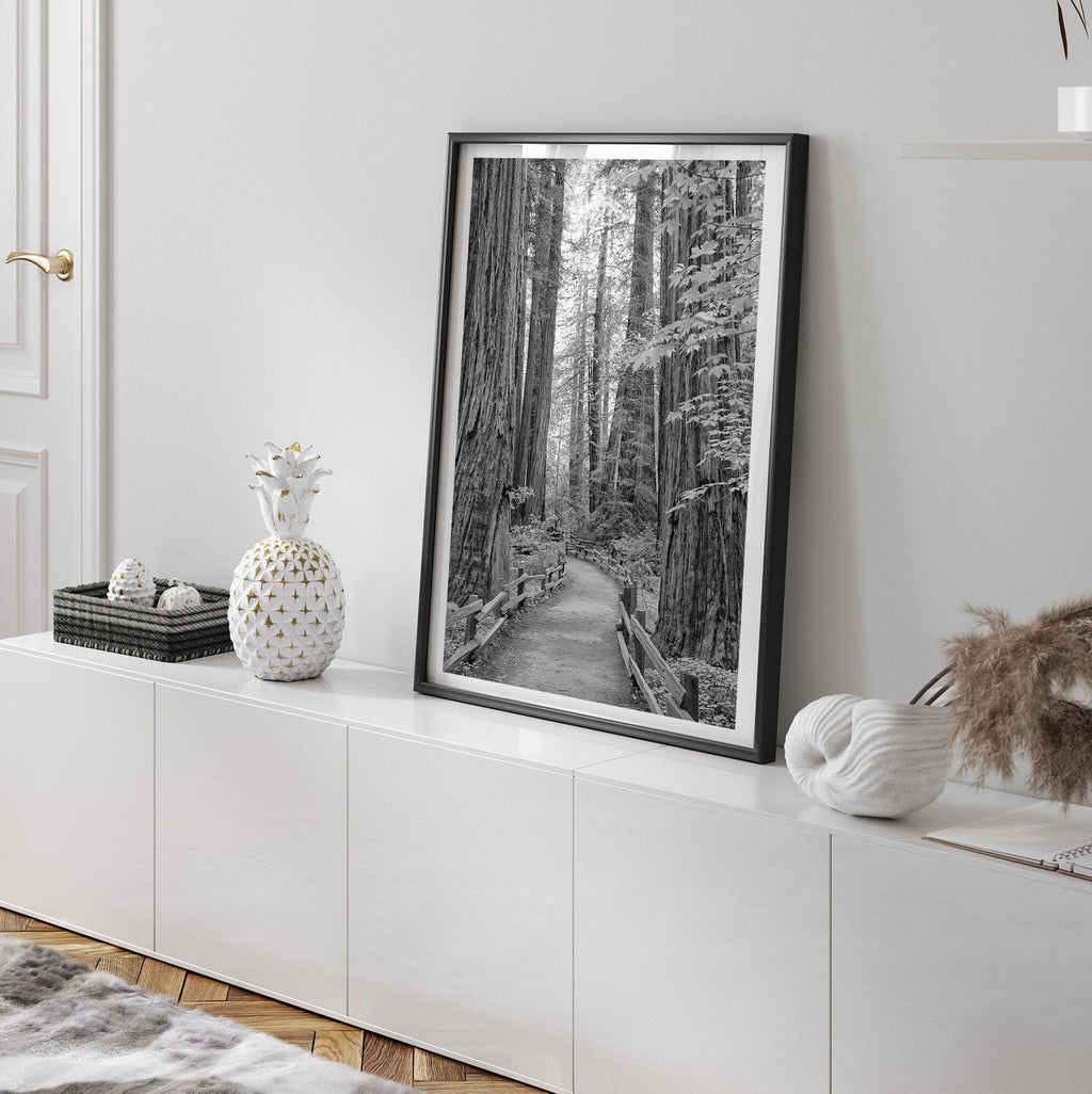 Redwoods B&W