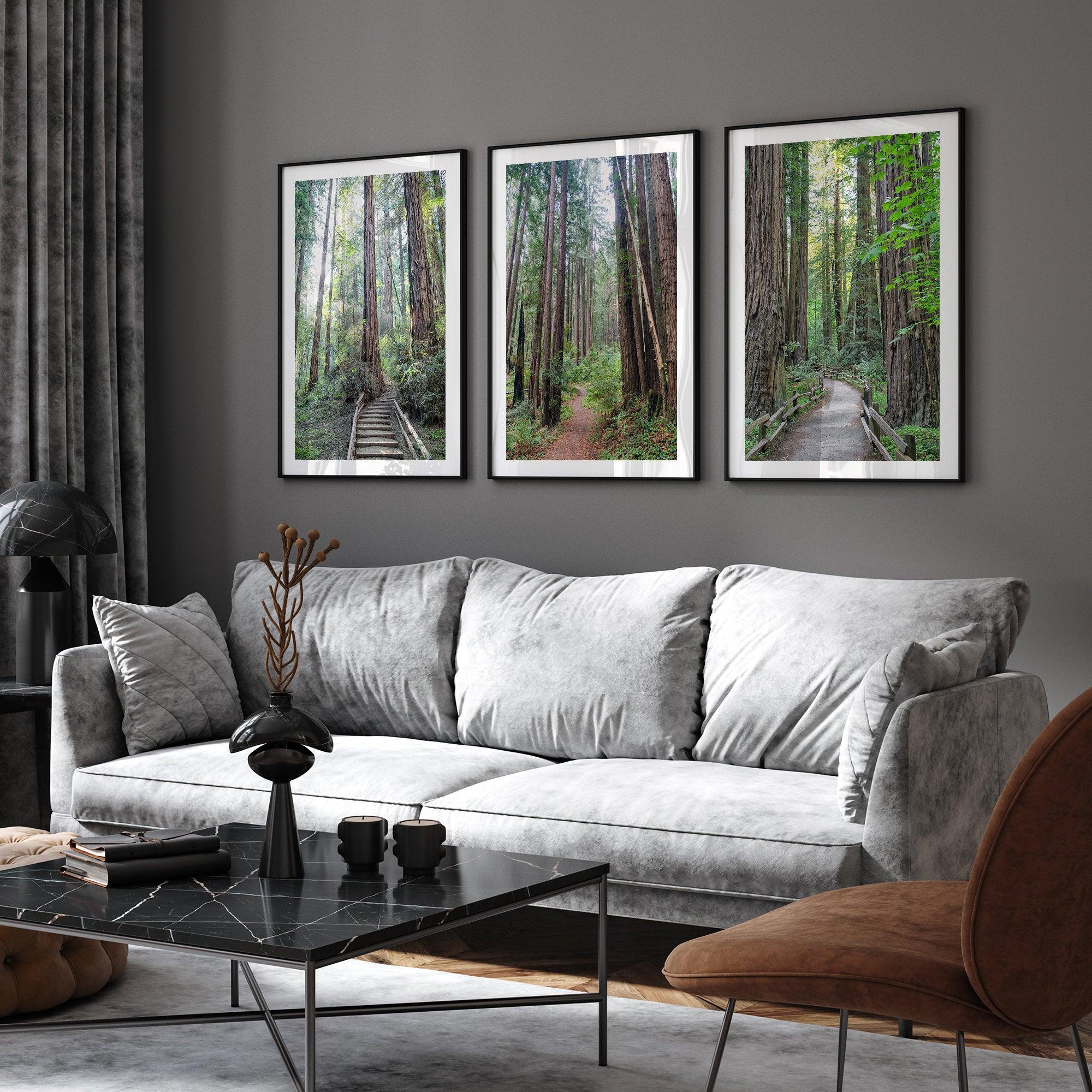 Redwoods Path Set of 3