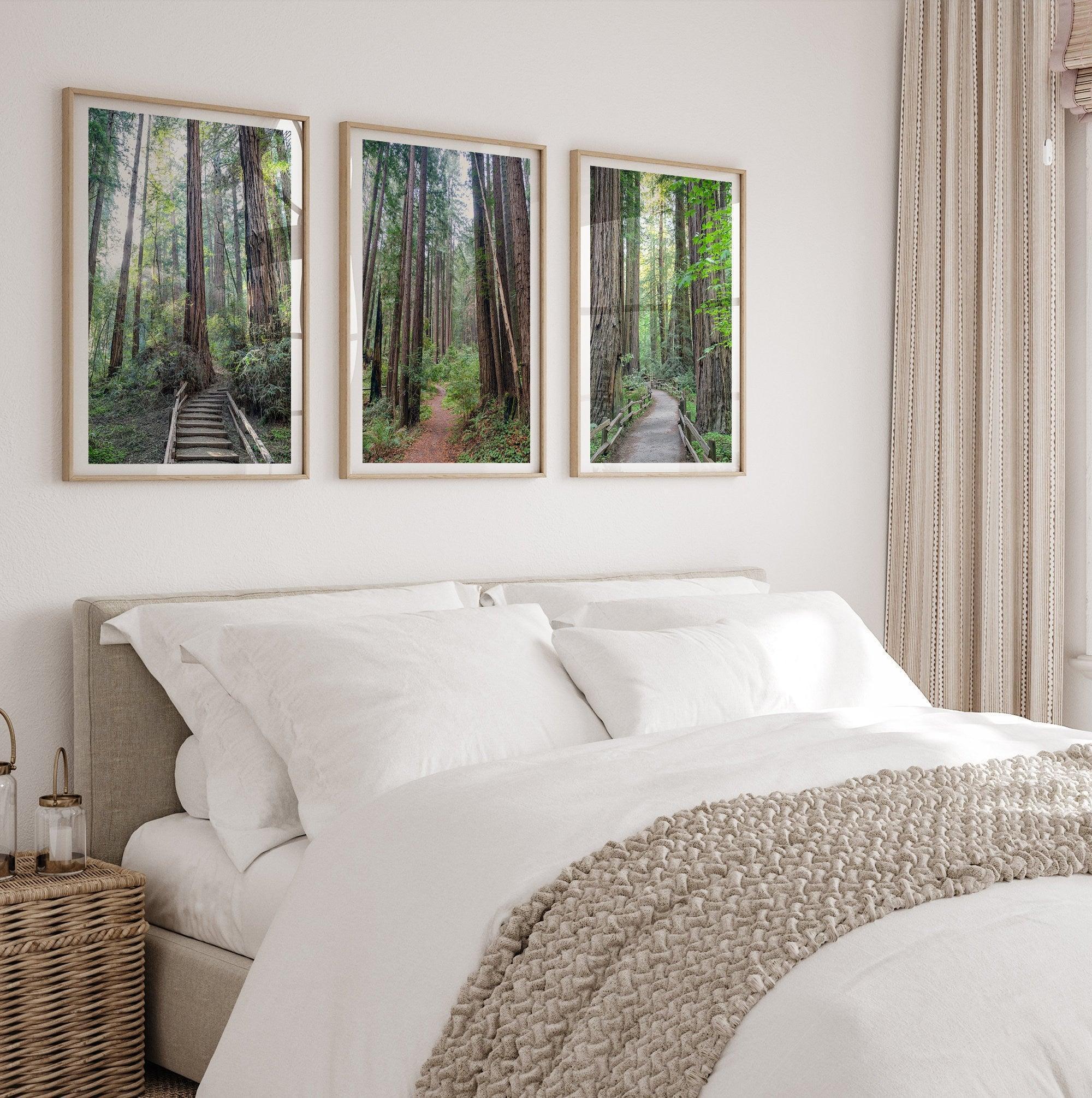 Redwoods Path Set of 3