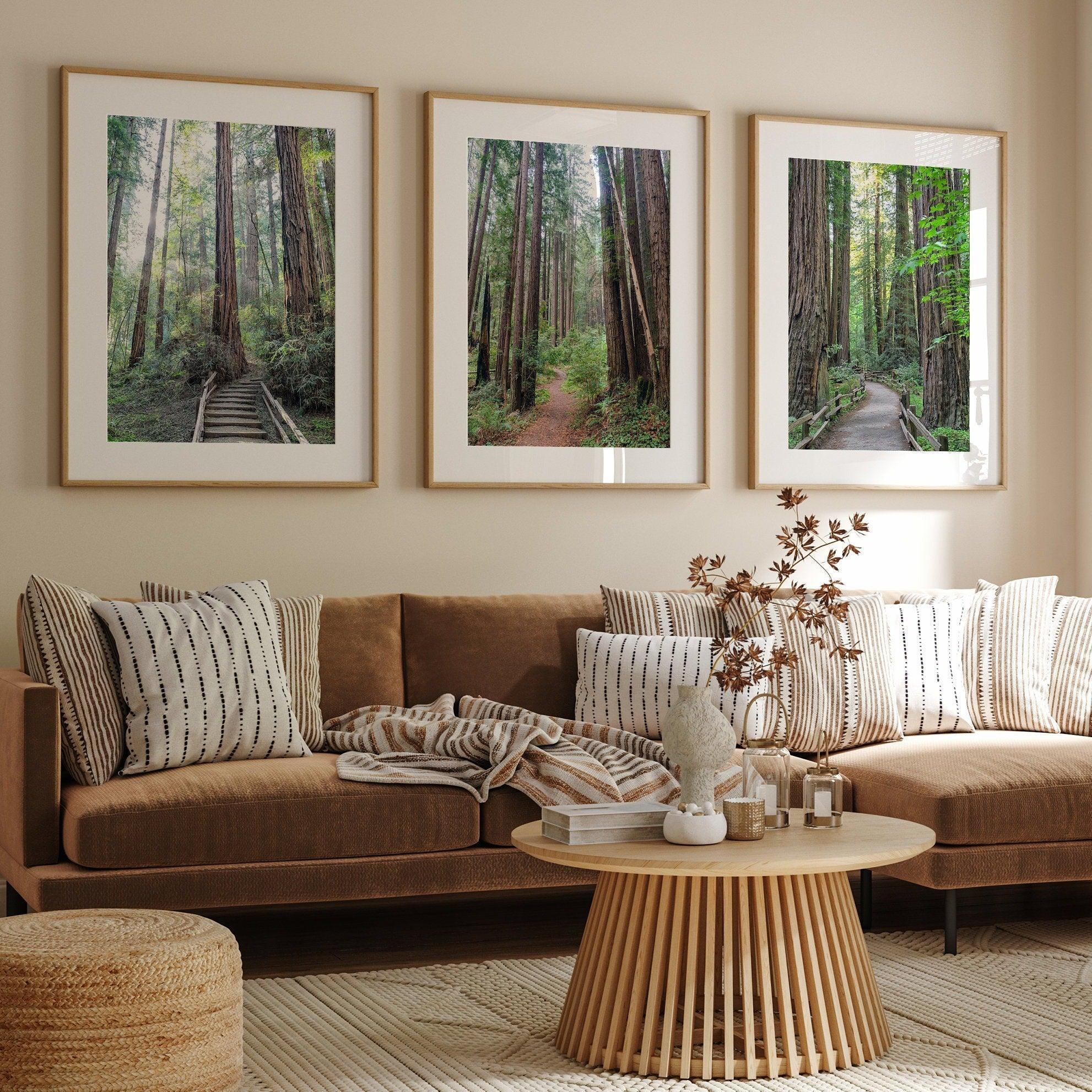 Redwoods Path Set of 3