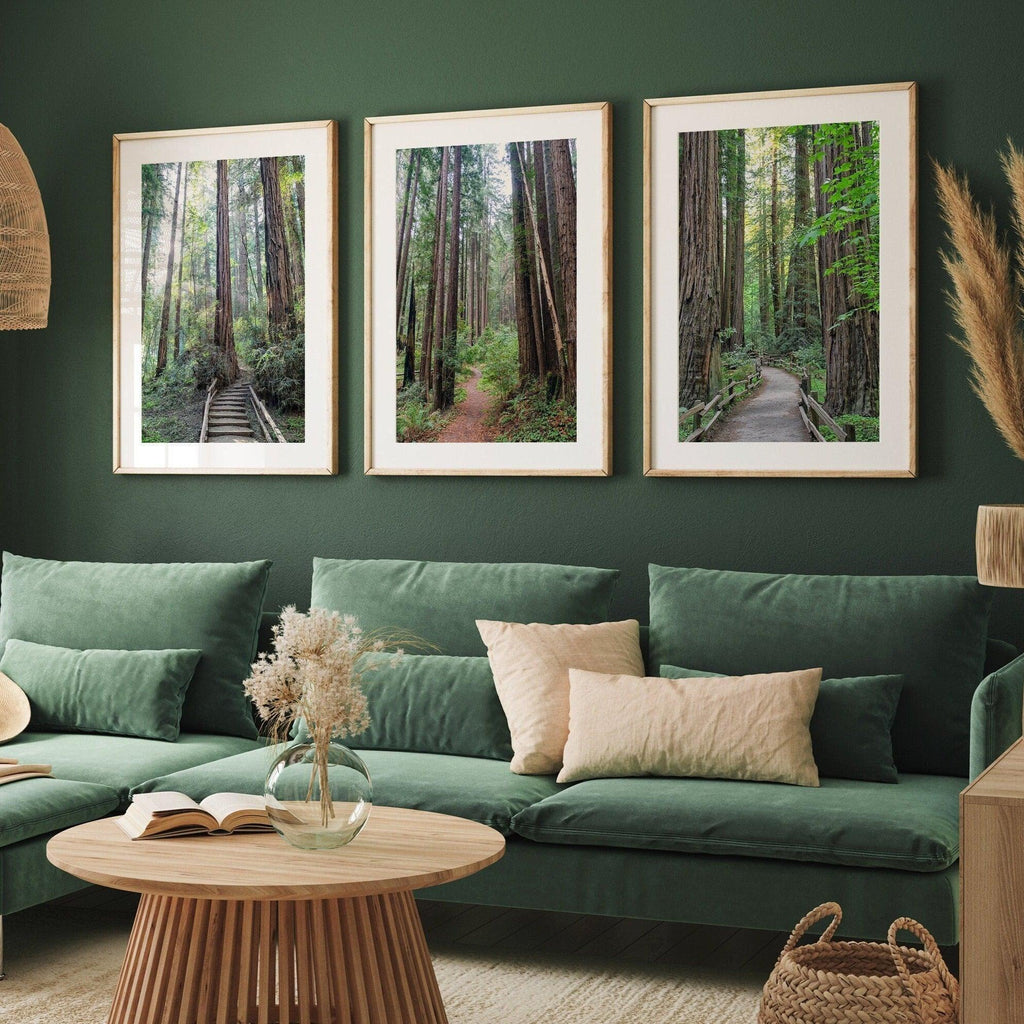 Redwoods Path Set of 3