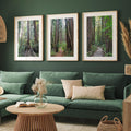 Redwoods Path Set of 3