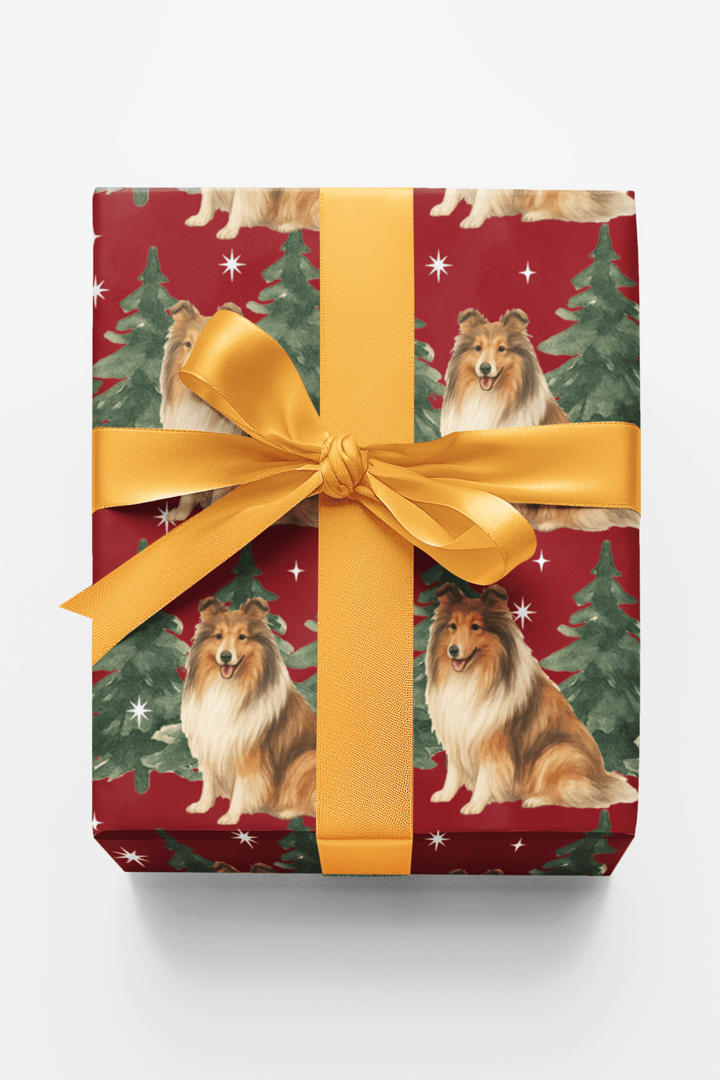 Collie in Winter Pines