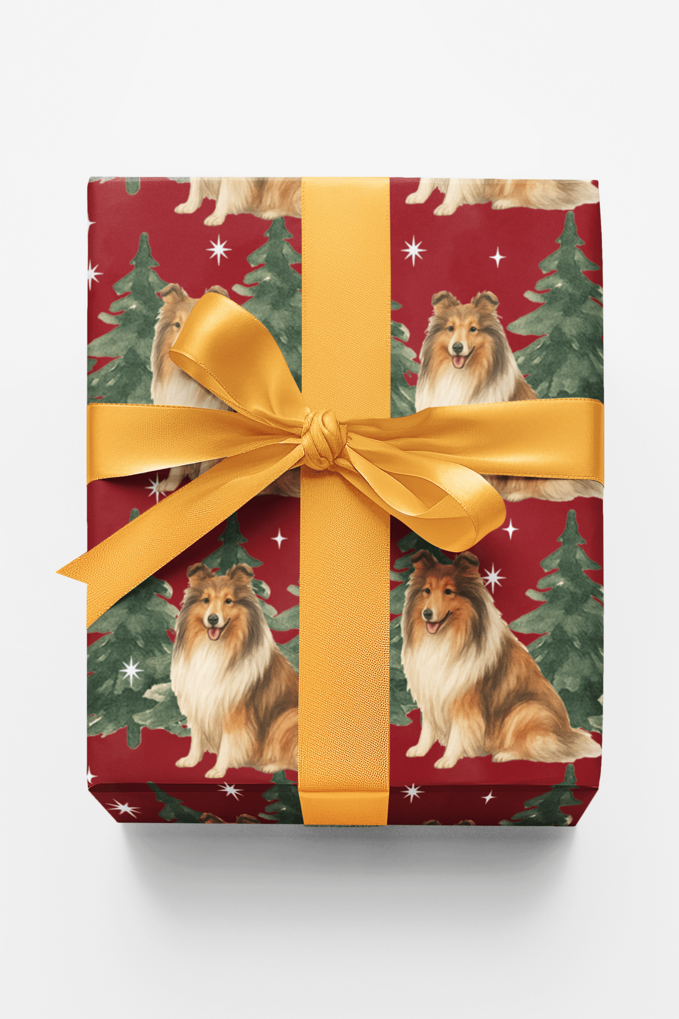 Collie in Winter Pines