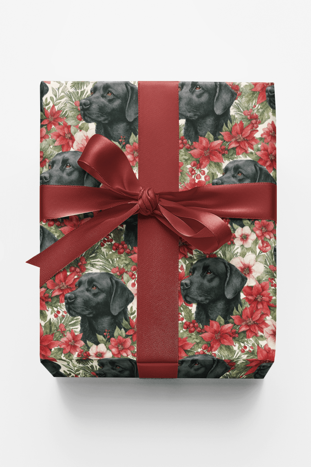 The Mistletoe Watcher