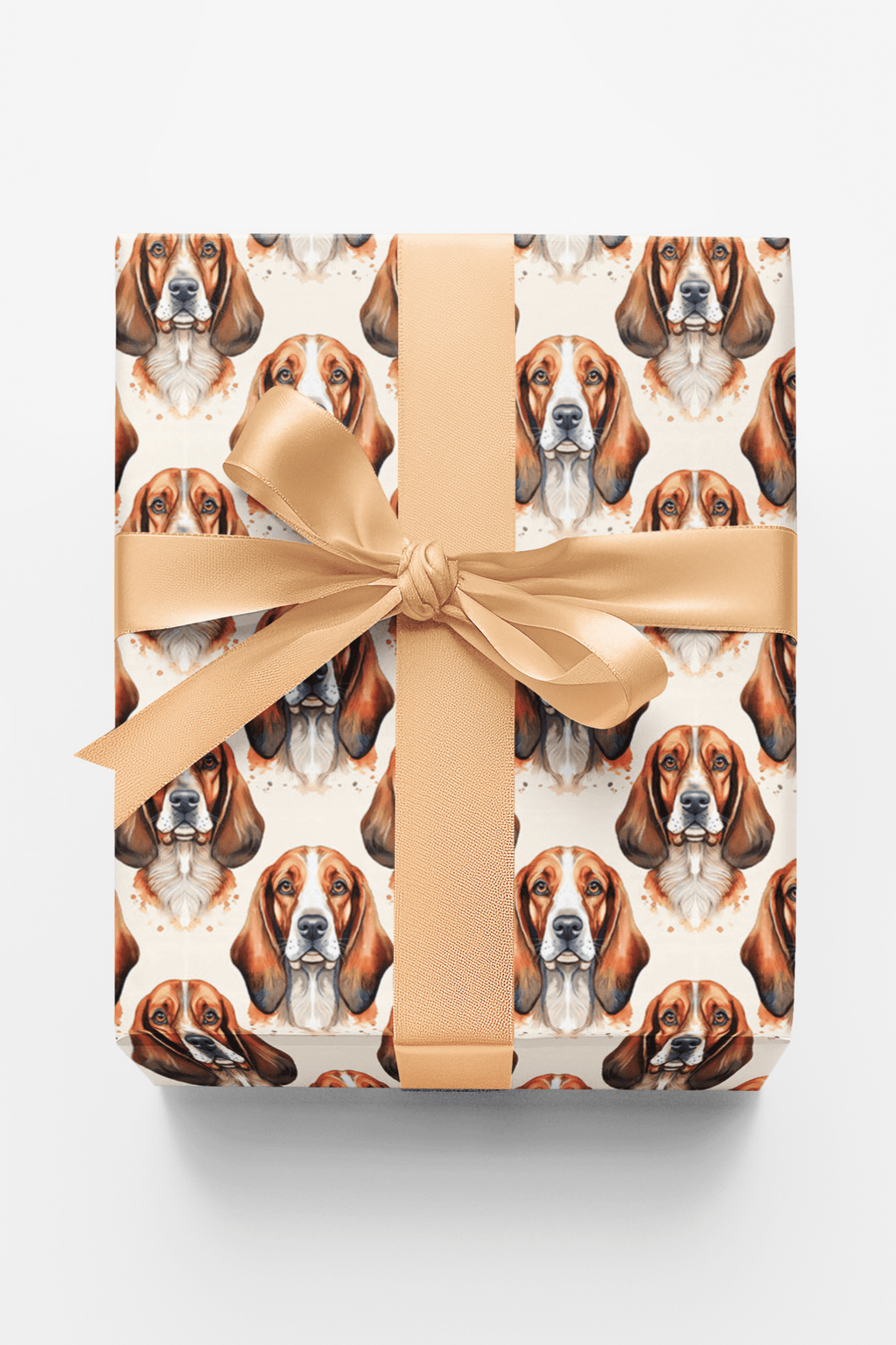 Low & Loyal Basset