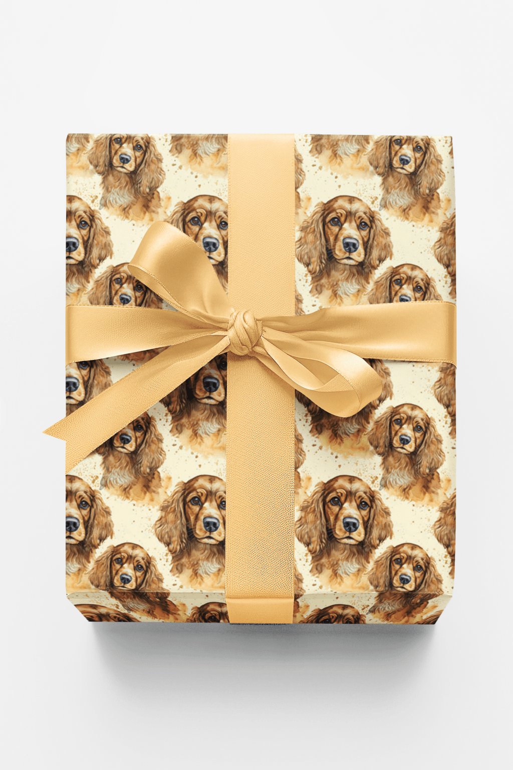 The Gentle Spaniel
