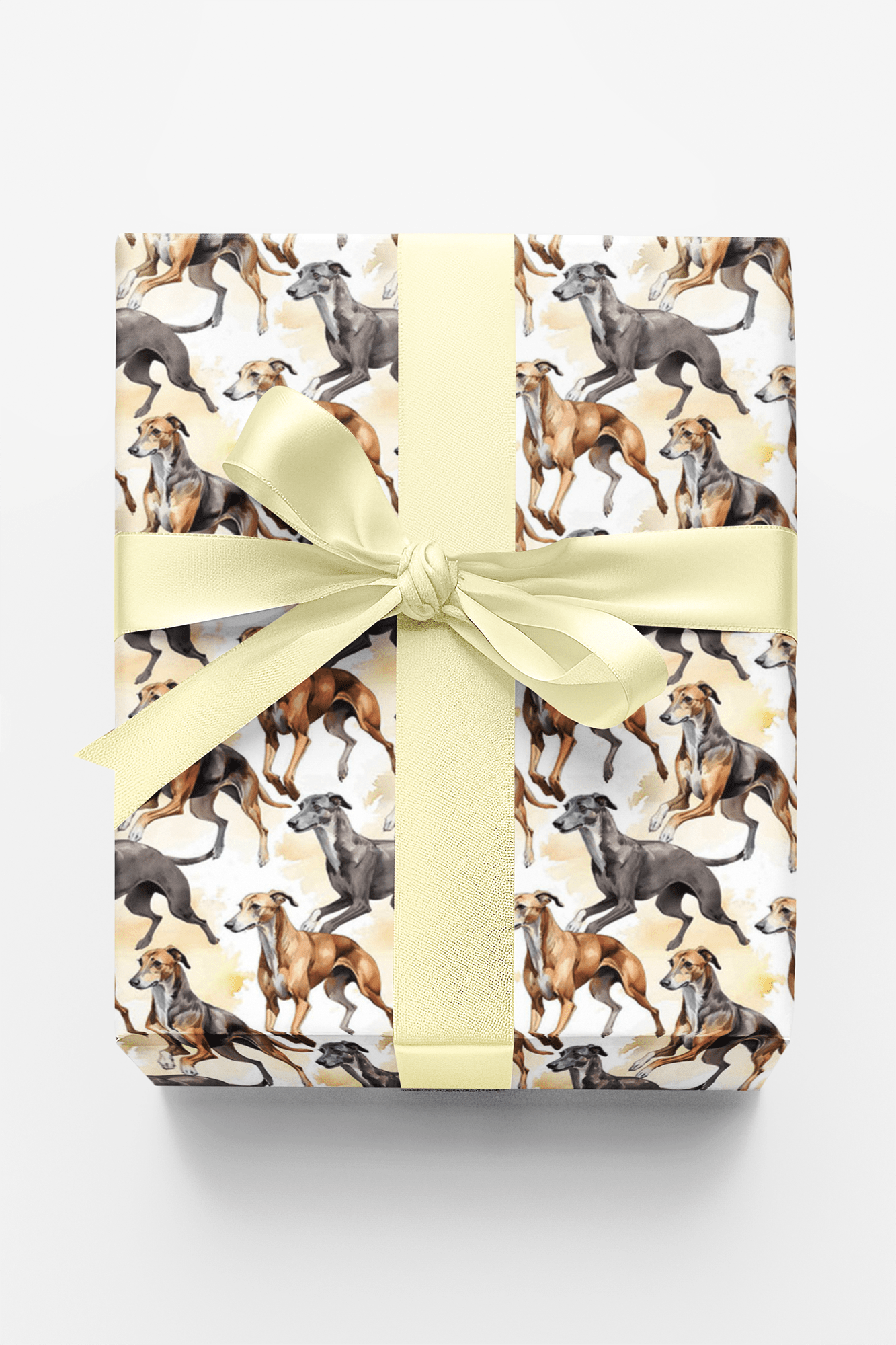 Speed & Grace – Greyhound
