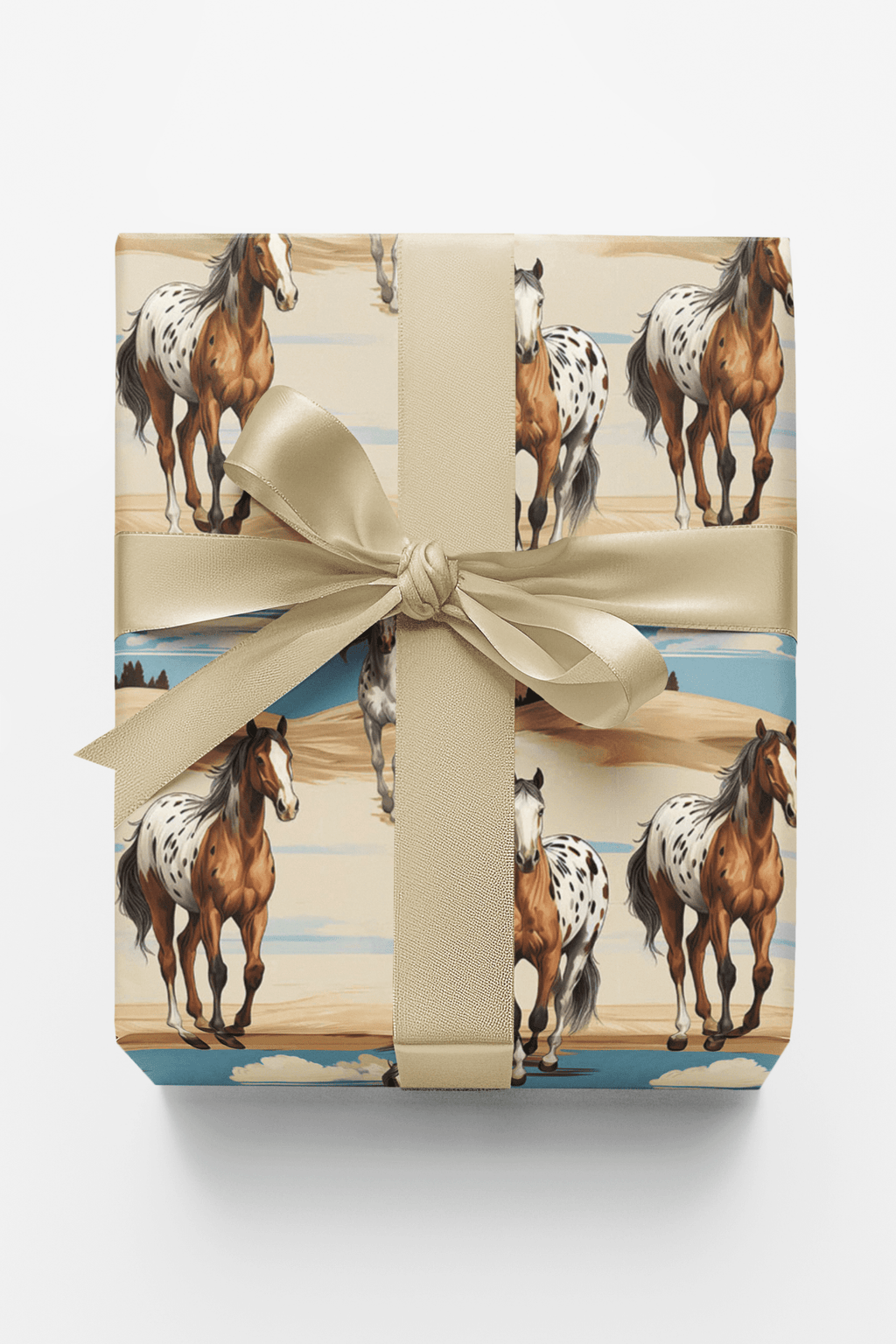 Appaloosa Run