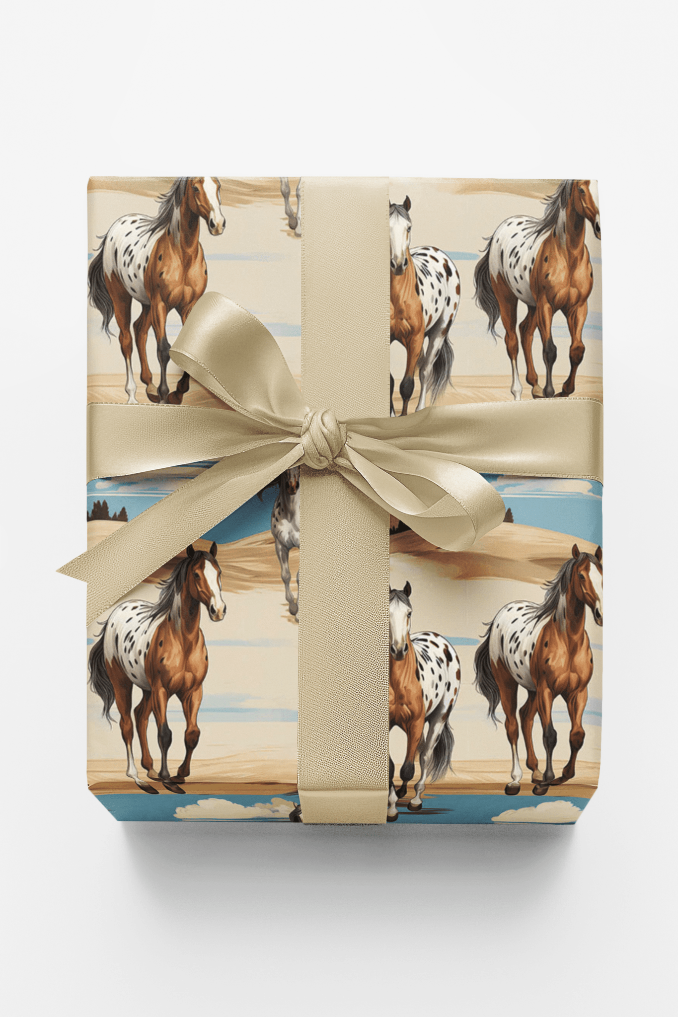 Appaloosa Run