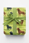 Retriever Whorls