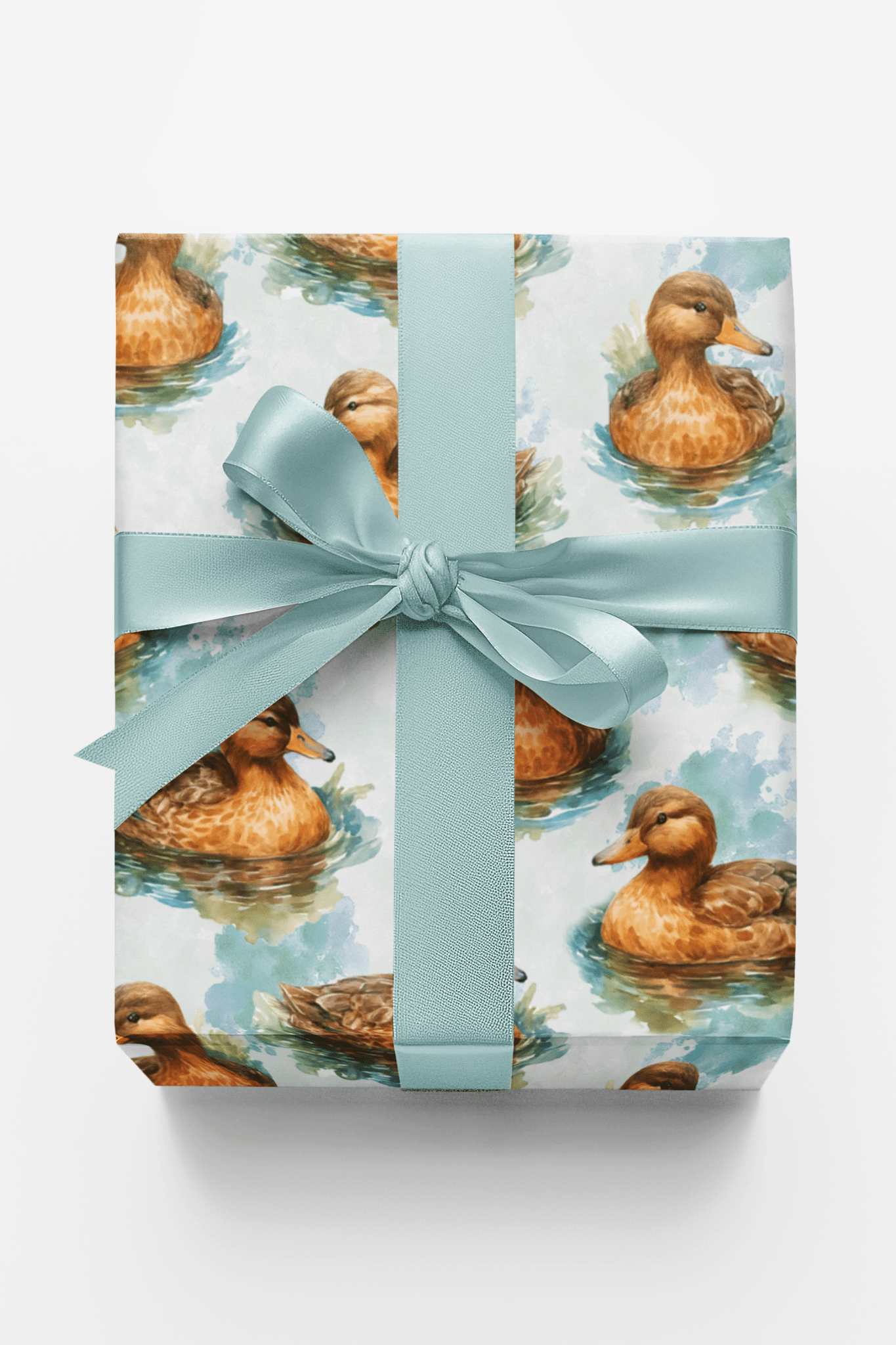 Ripples & Feathers