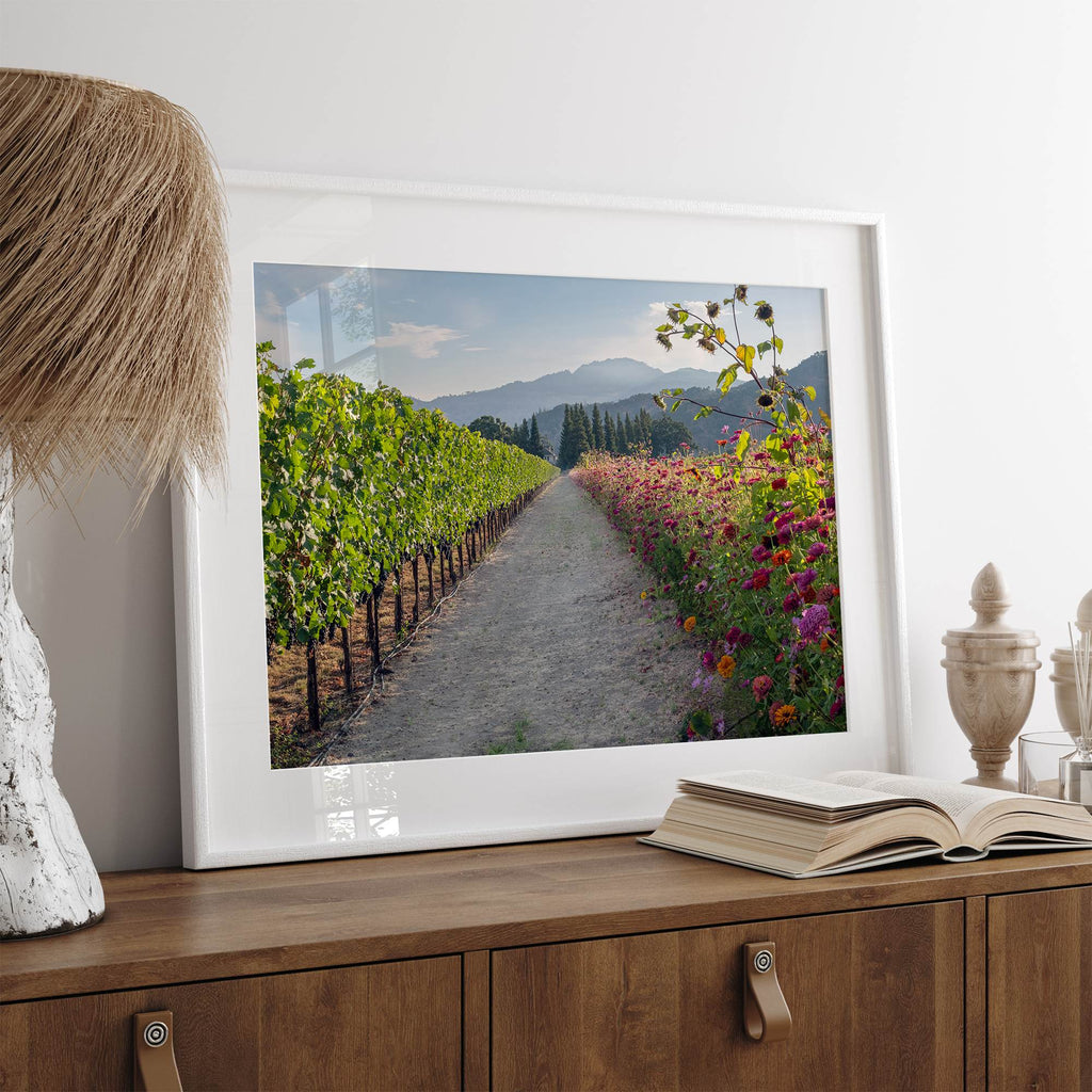 Napa Harvest Path