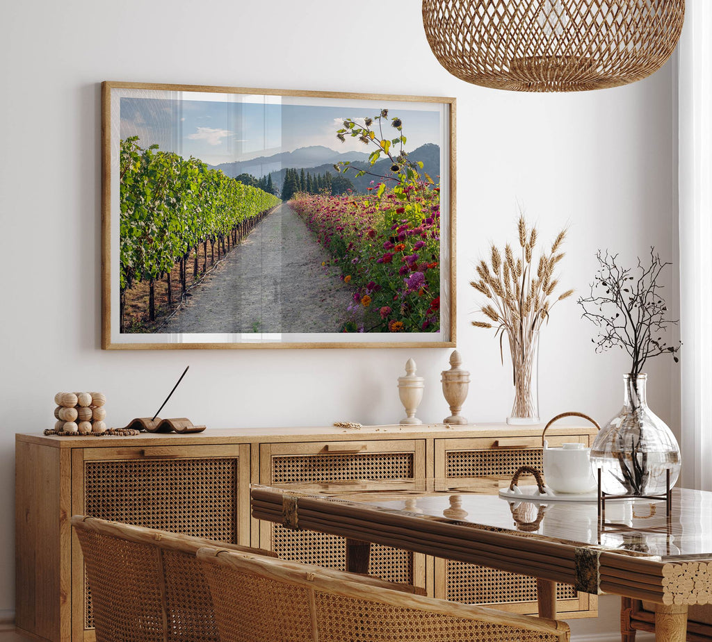 Napa Harvest Path