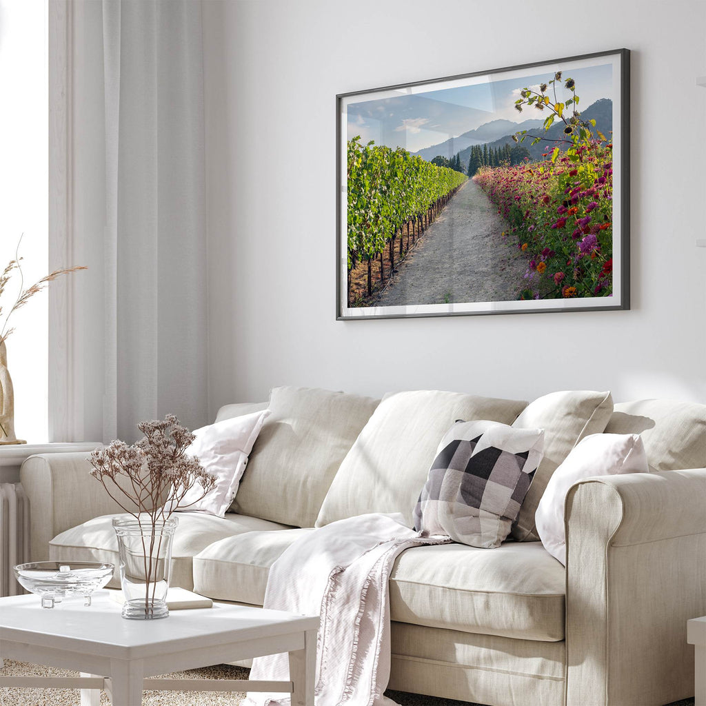 Napa Harvest Path