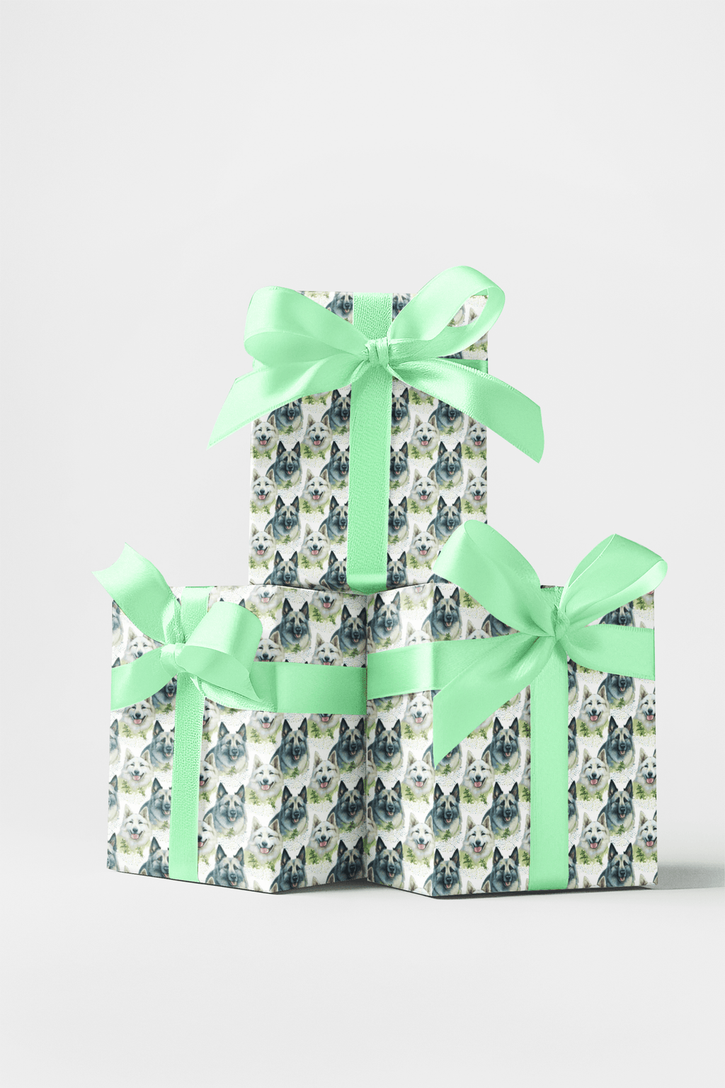 Shiloh Shepherd 
Adorable